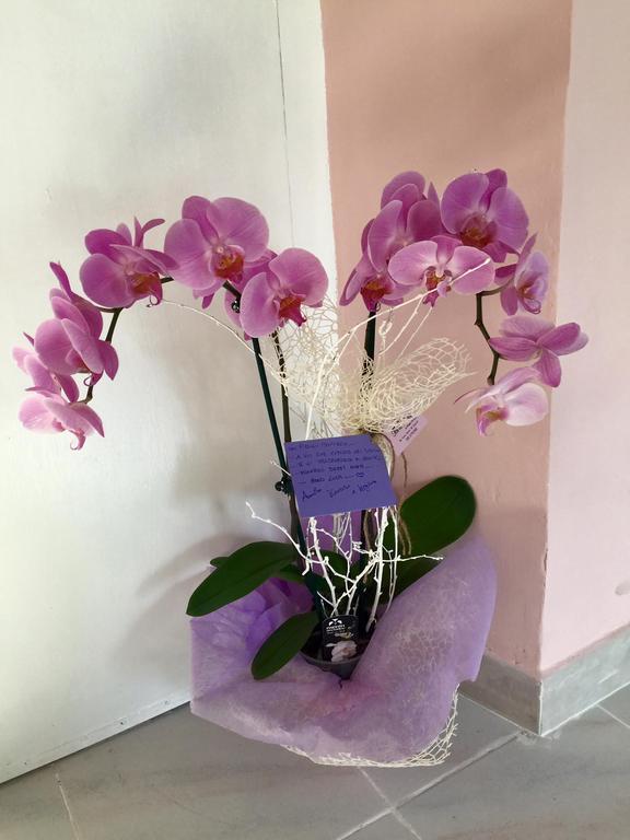Montello Sweet House Iun Q5874 Villa Cagliari Luaran gambar
